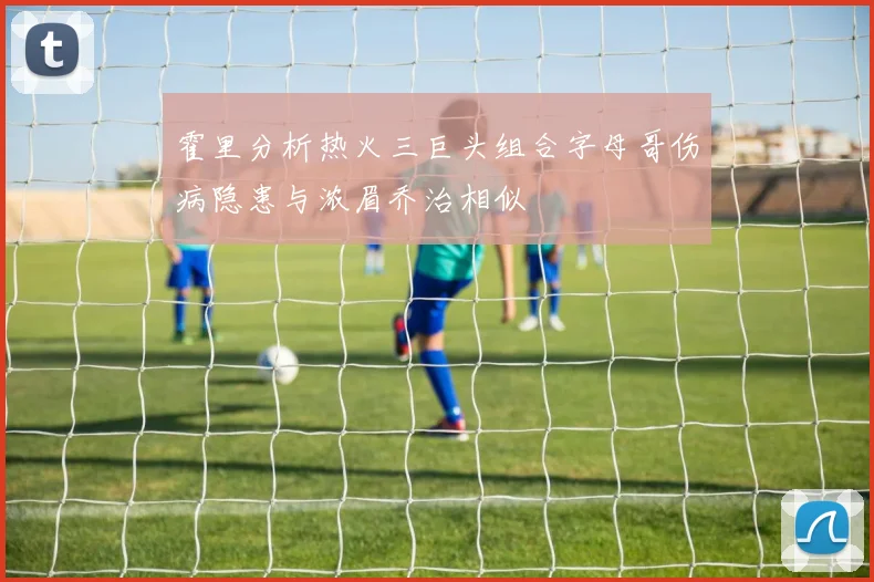 霍里分析热火三巨头组合字母哥伤病隐患与浓眉乔治相似