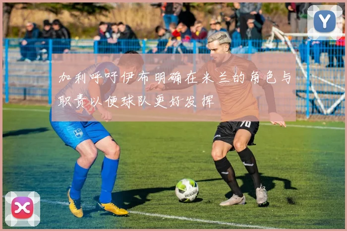 加利呼吁伊布明确在米兰的角色与职责以便球队更好发挥